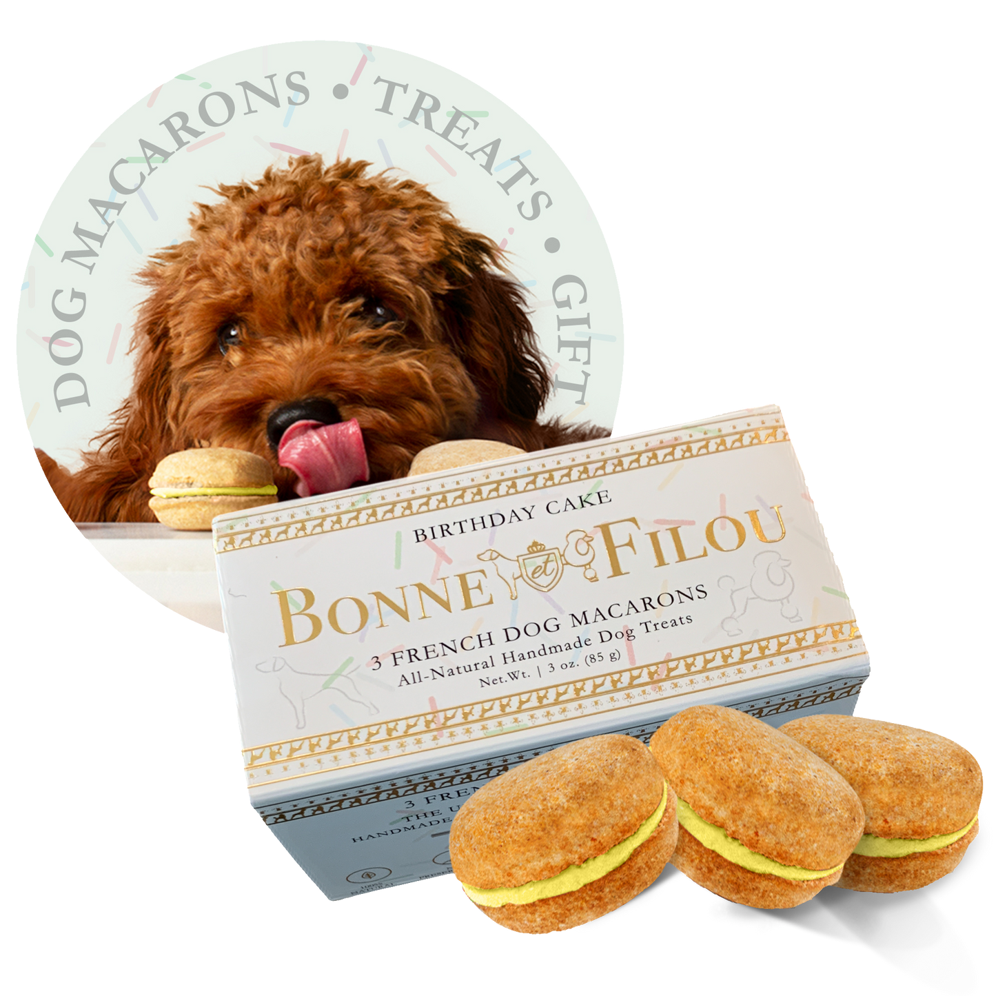 Dog Macarons (Box of 3) - Bonne et Filou