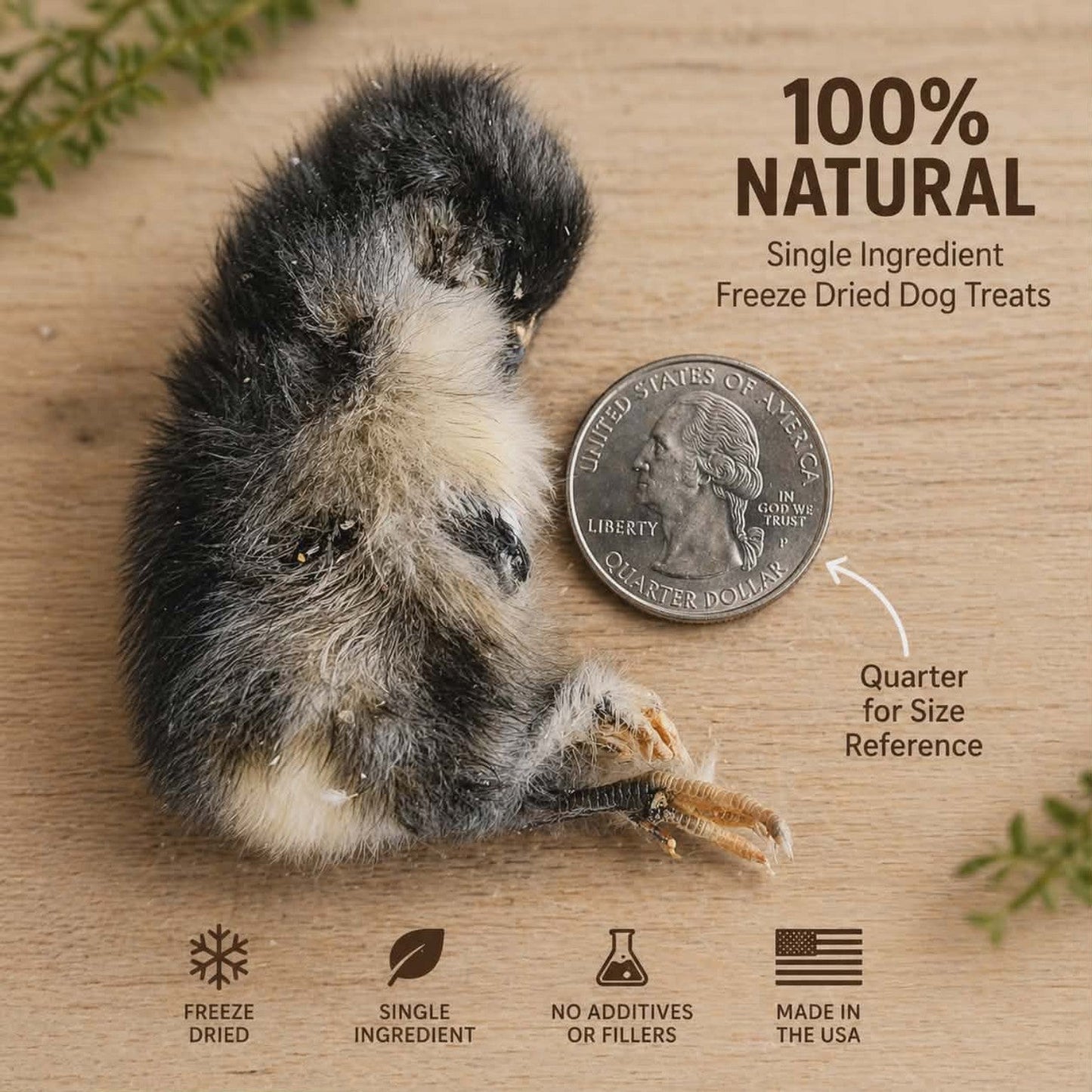 Freeze-Dried Whole Baby Chicken Treats