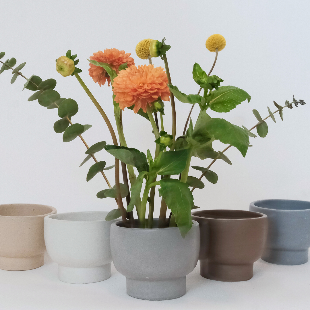 2-in-1 Flower Frog Vessel