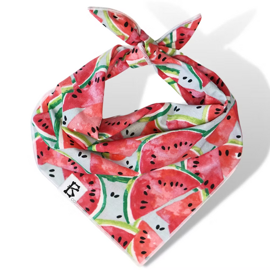 "Melon Splash" Bandana