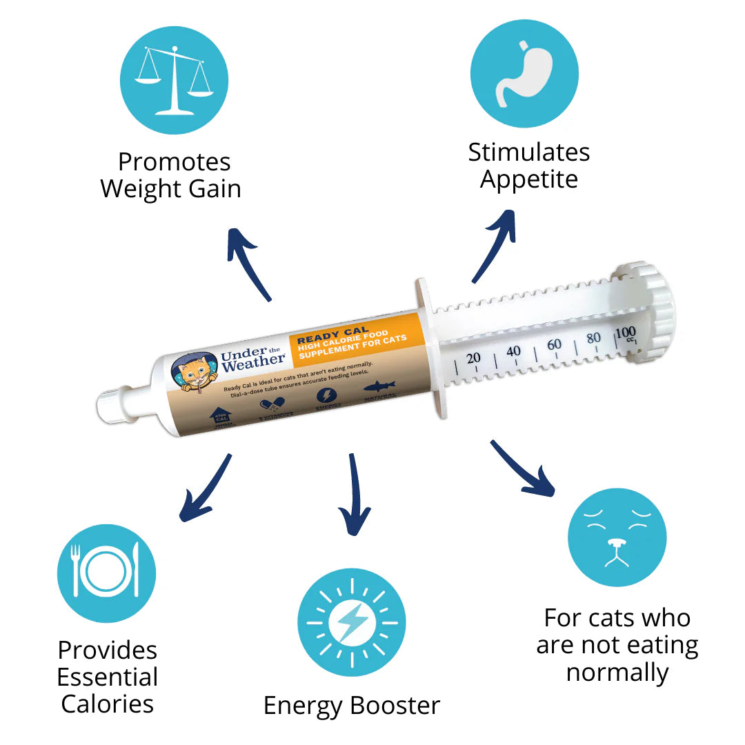 Ready Cal™ High-Calorie Supplement For Cats - 100cc