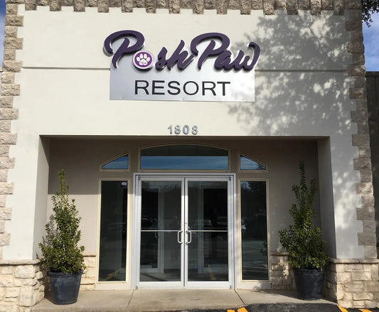 2020-10-21 (1).webp__PID:caf63627-abbd-49ca-82a3-3d2920a83035