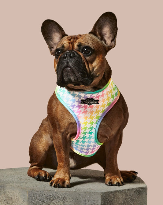 Rainbowtooth Reversible Harness