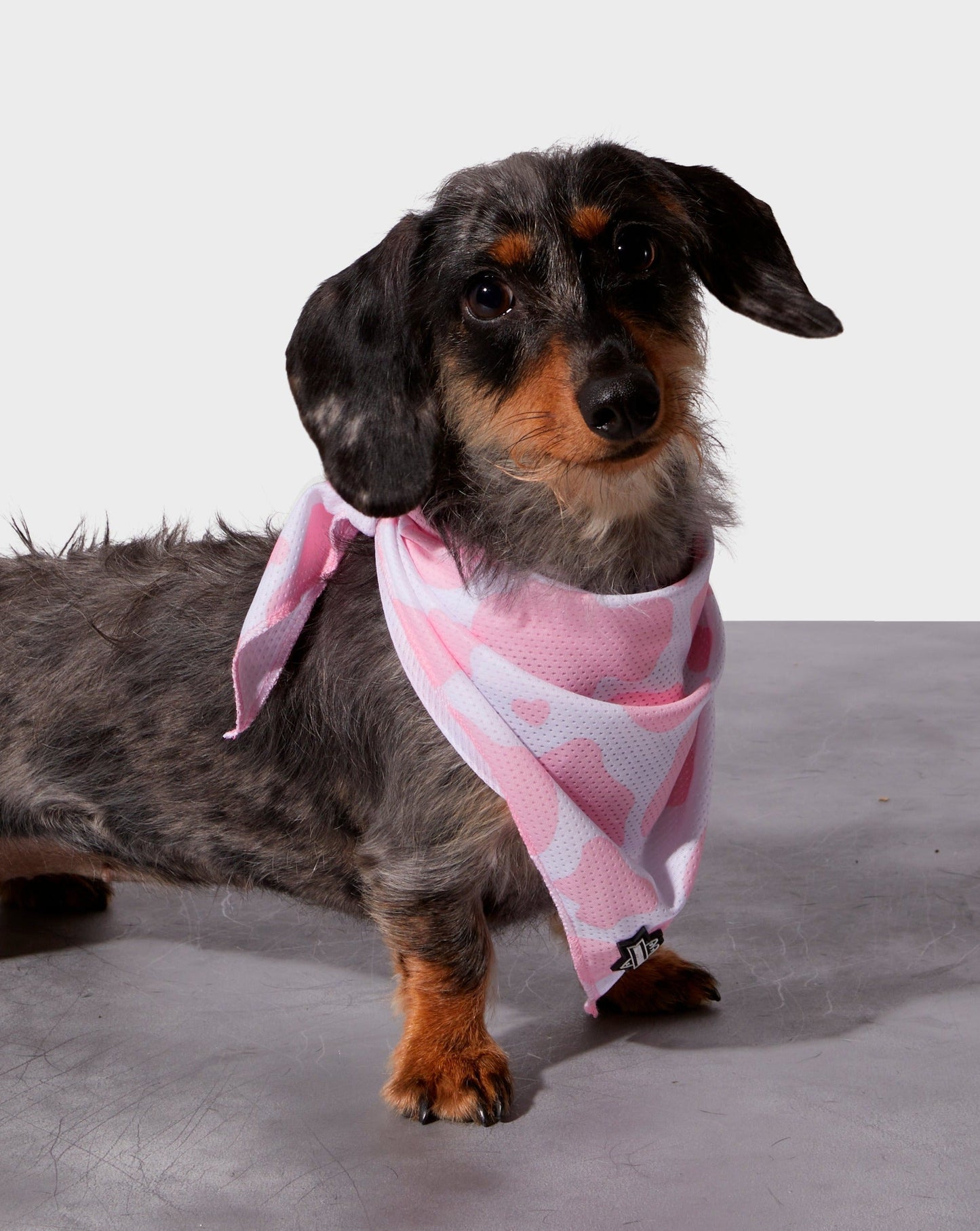 Pink Moo'd Cooling Bandana