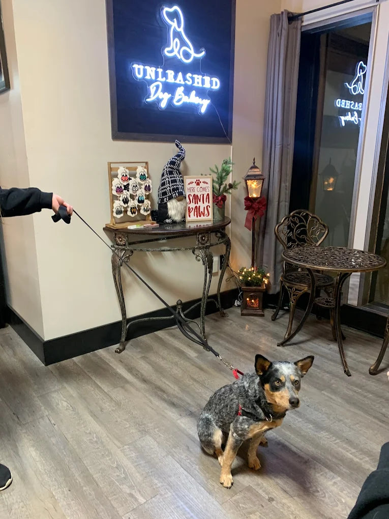 Unleashed Dog Bakery