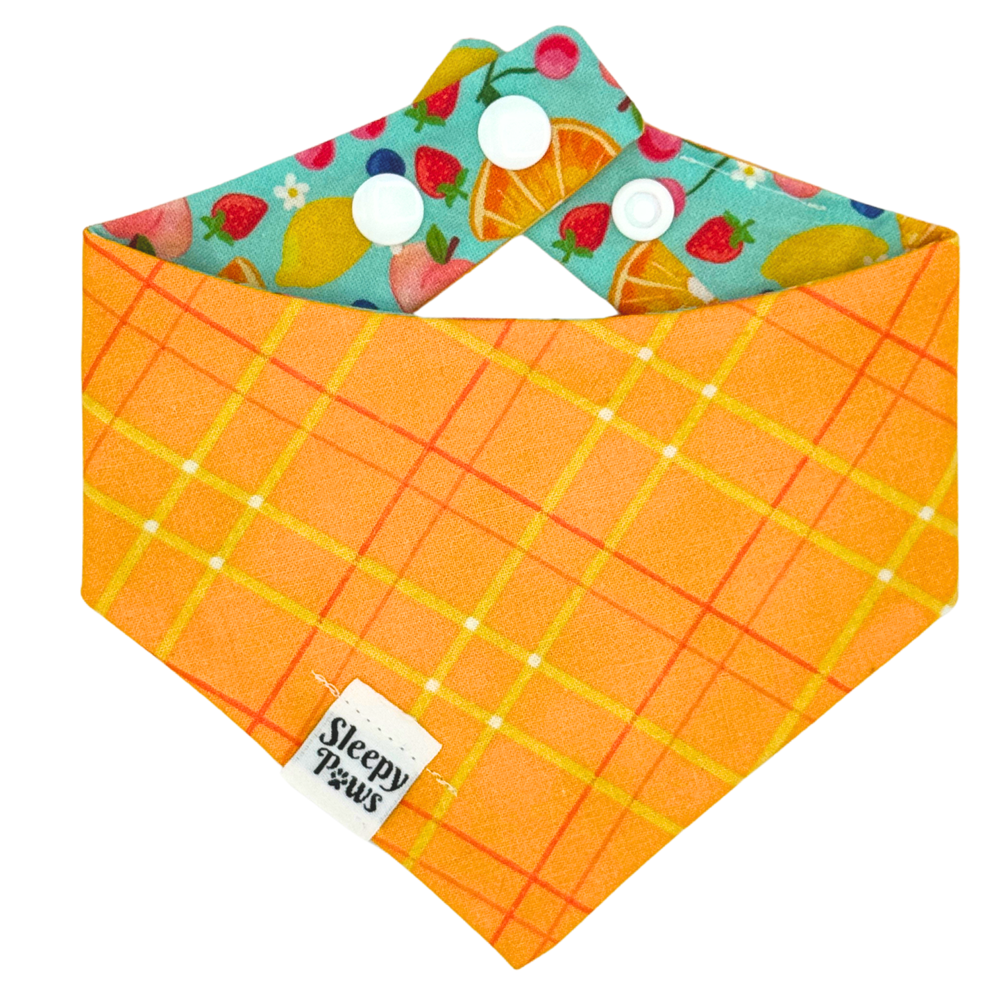 Juicy Fruits Pet Bandana