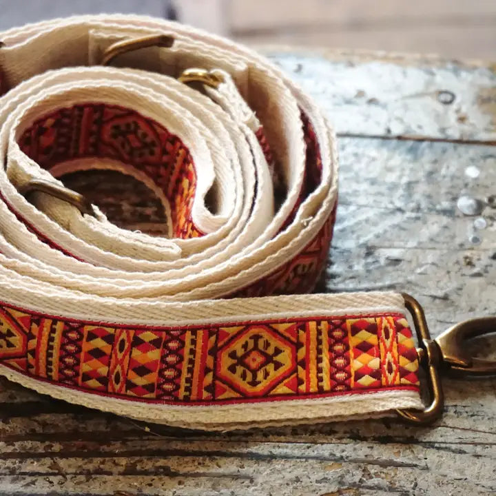 Strap and Collar