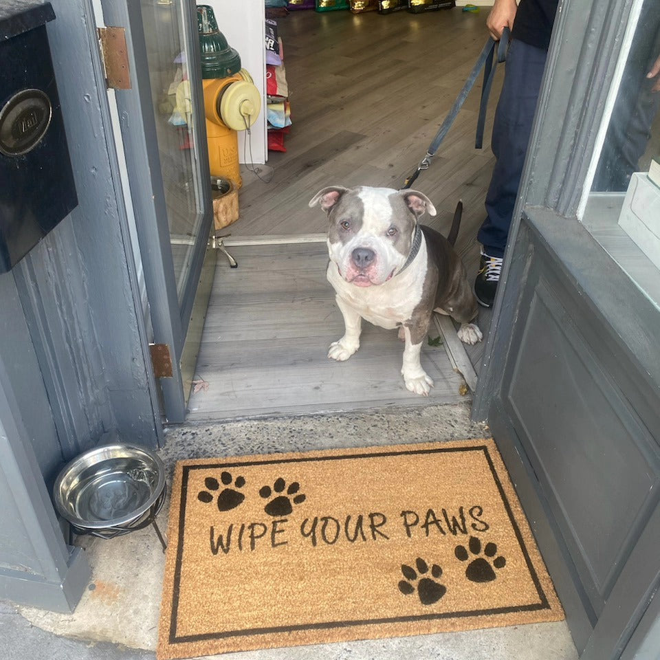 471226022_122136263900391174_25927173024424910_n.jpg__PID:aac1d27a-2f90-48dd-8105-d40a144927f4