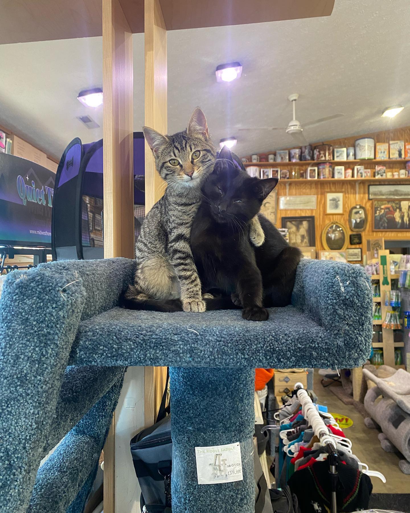 T&T Pet Food and Supply