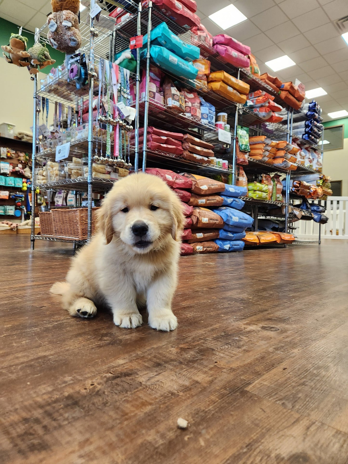 487512832_1194782522656602_7927205431217550943_n.jpg__PID:dd47a68e-ead4-45e5-bf55-ded5a92c1a4d