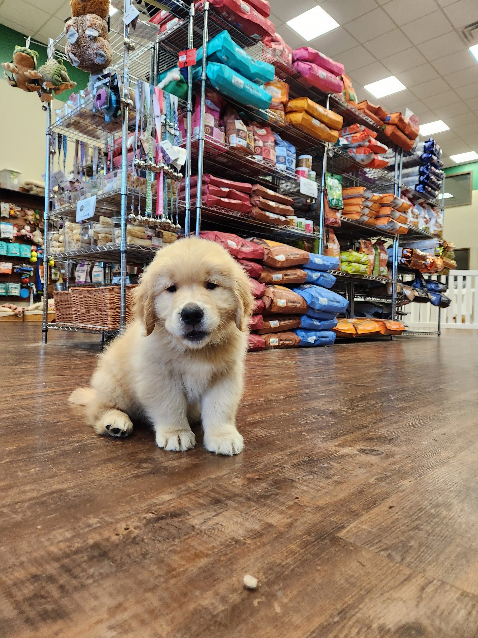 487512832_1194782522656602_7927205431217550943_n.jpg__PID:dd47a68e-ead4-45e5-bf55-ded5a92c1a4d