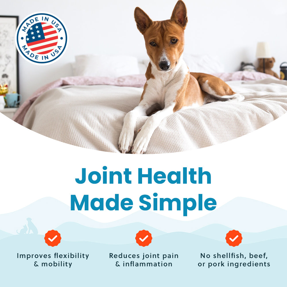 Vegetarian Glucosamine For Dogs