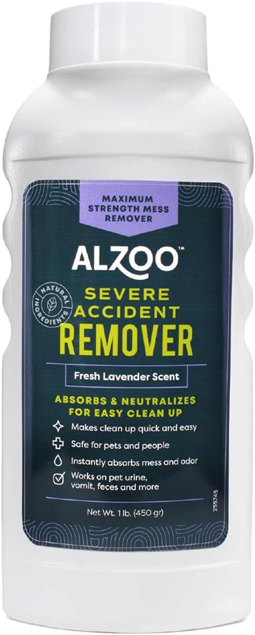 Severe Accident Remover