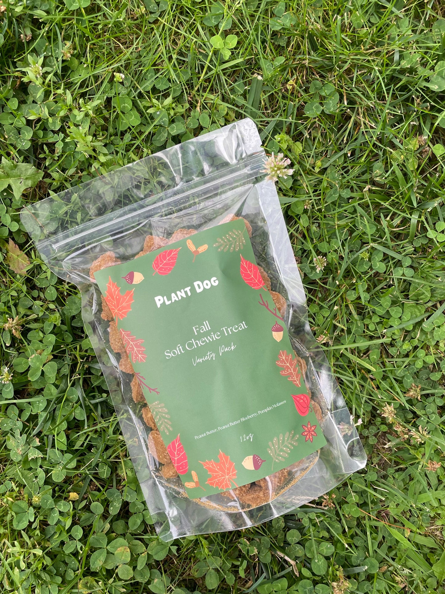 Fall Soft Chewie Treat Variety Pack