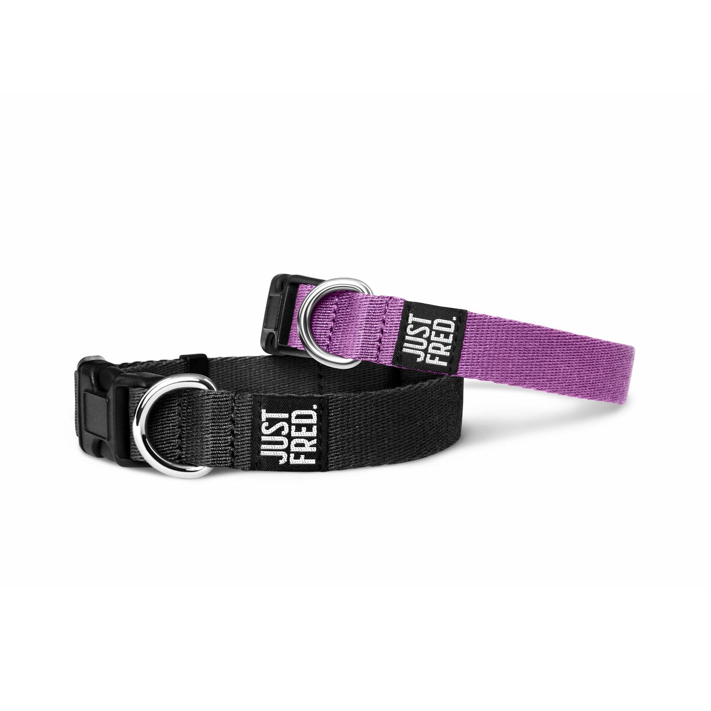 Dog Collar.