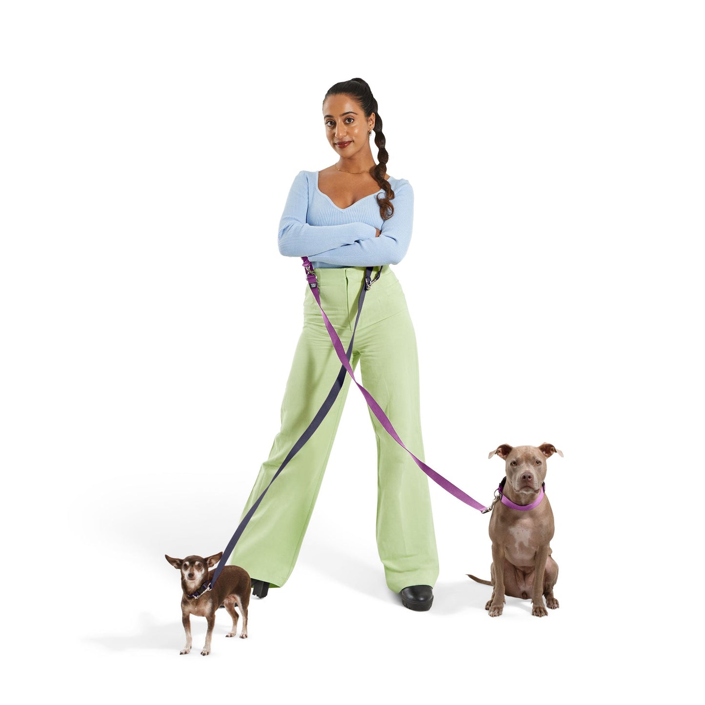 Dog Leash.