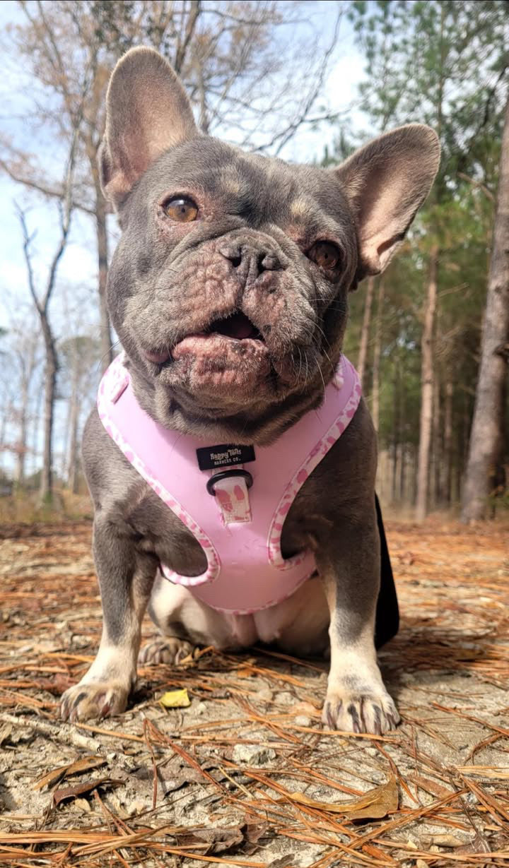 Pink Pastures Walking Set