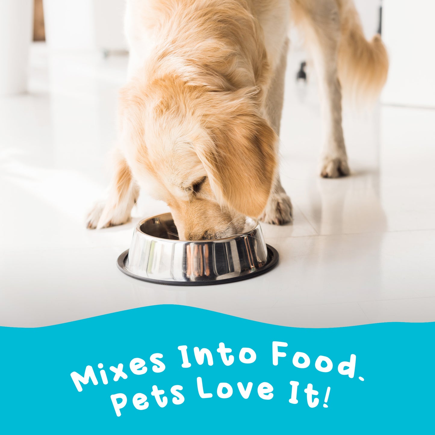 Omega-3 Fish Oil for Dogs and Cats