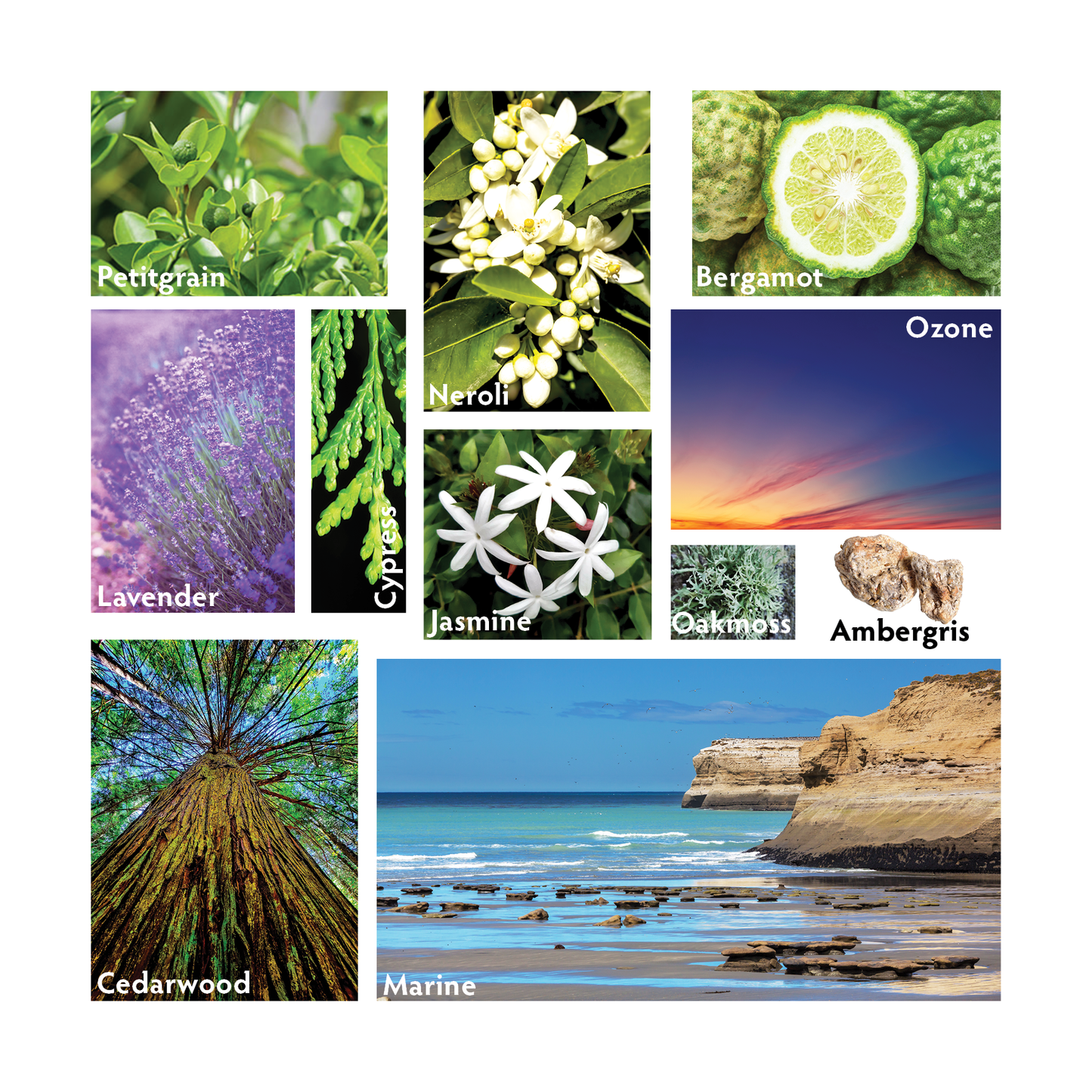 Atlántico Large Crystal Diffuser