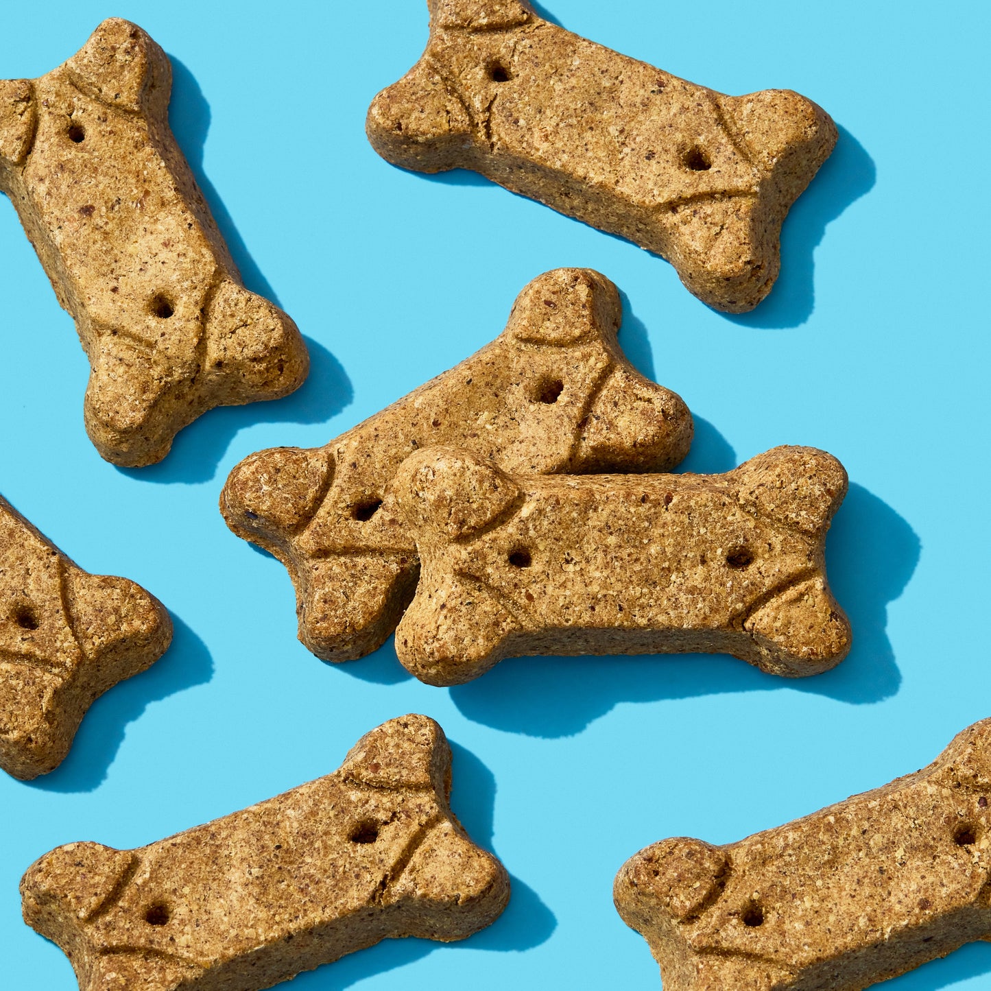 Brutus Broth Biscuits - Beef