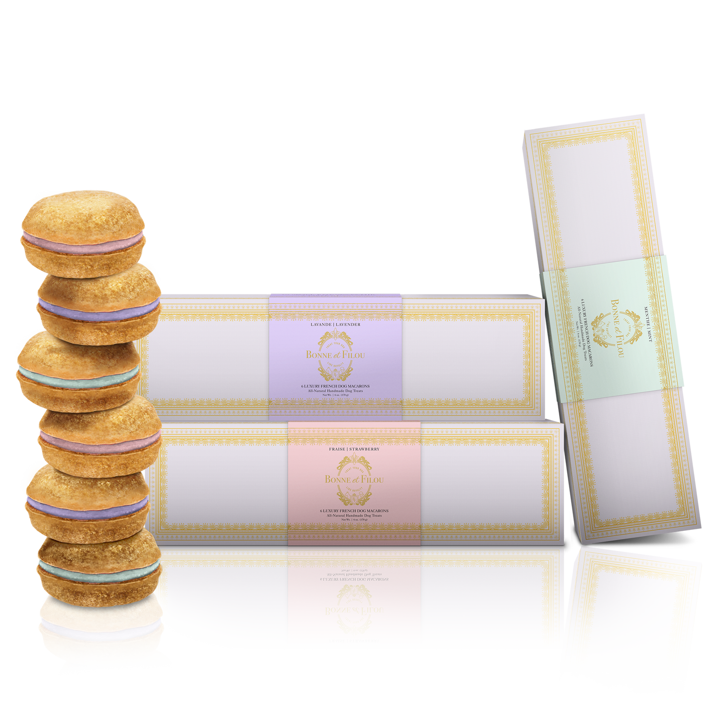 Bundle of 3-Boxes Dog Macarons + Elevated Pet Feeder