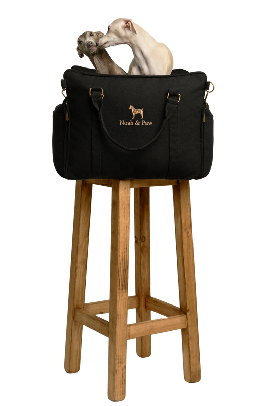 Dog Car Seat Carrier Orthopedic Crushed Foam, Black, Canvas