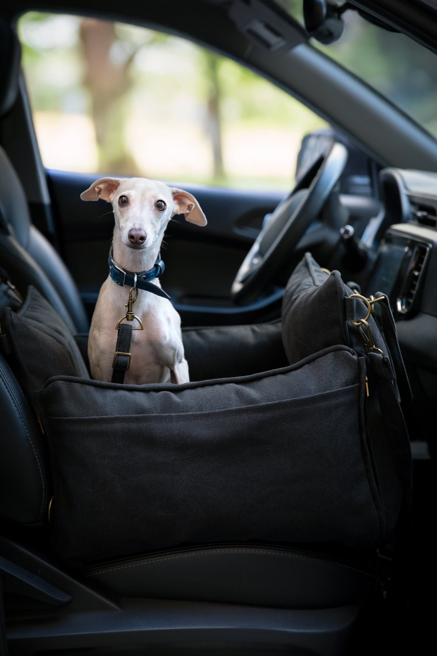 Dog Car Seat Carrier Orthopedic Crushed Foam, Black, Canvas