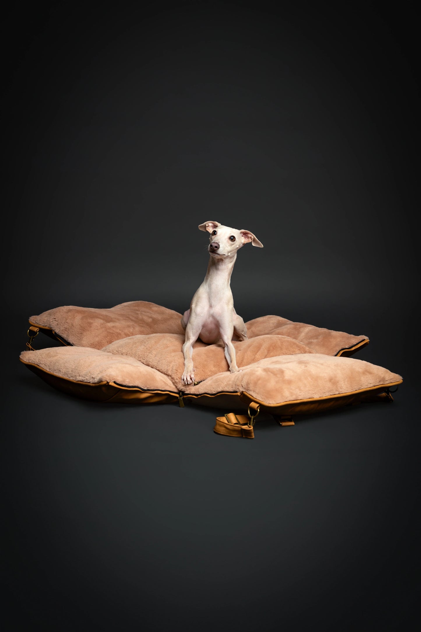 Dog Car Seat Carrier Orthopedic Crushed Foam, Camel, Vegan Leather