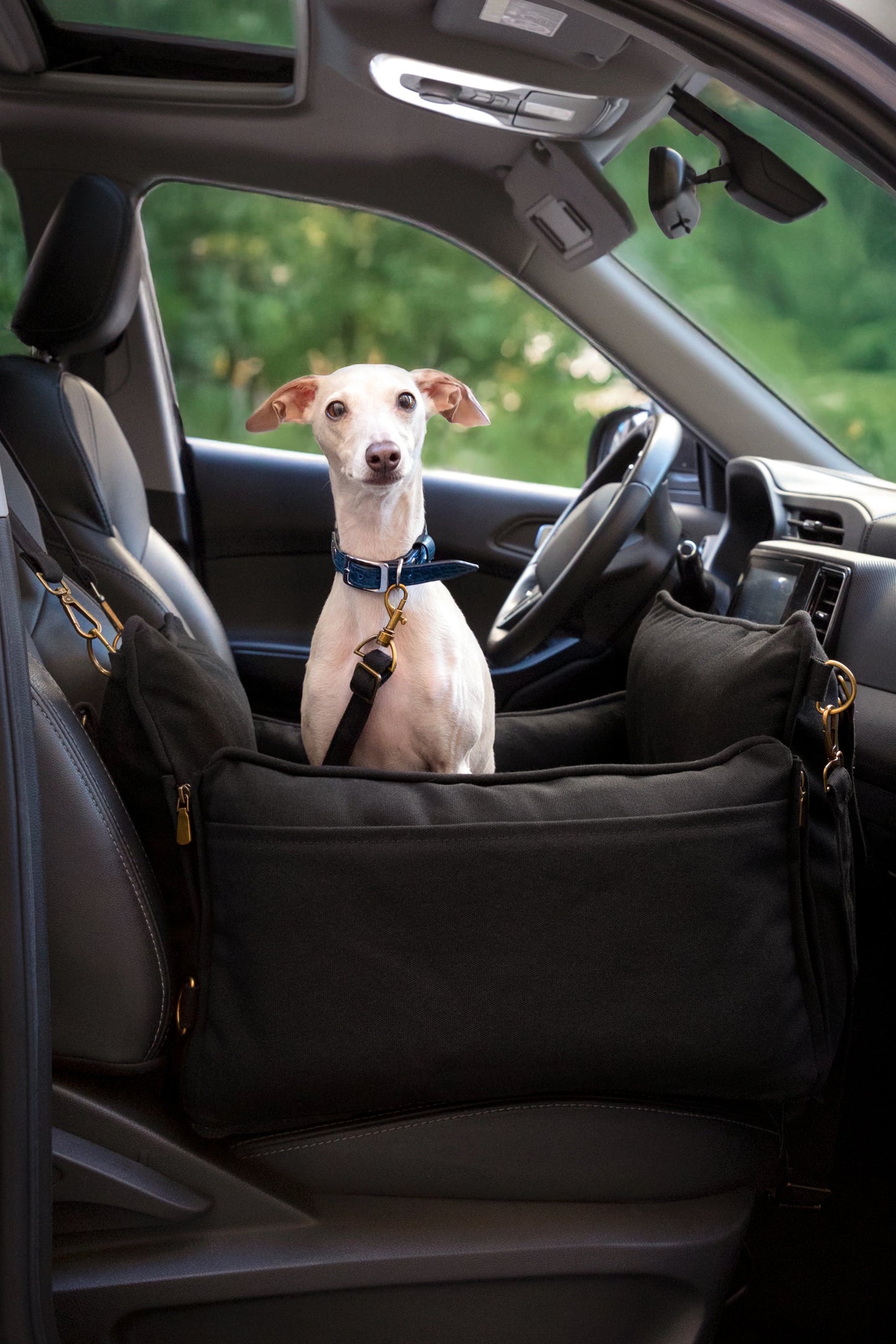 Dog Car Seat Carrier Orthopedic Crushed Foam, Charcoal, Canvas
