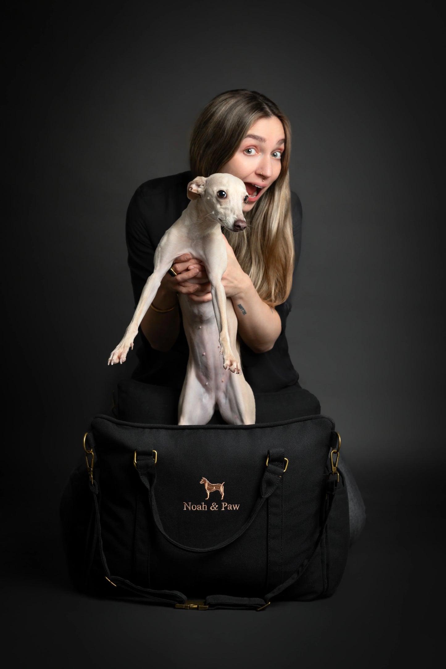 Dog Car Seat Carrier Orthopedic Crushed Foam, Charcoal, Canvas