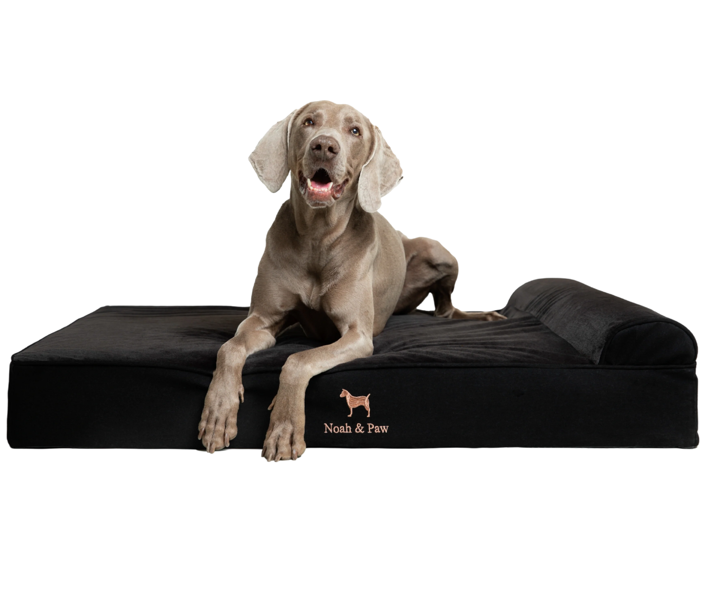 Denim, Orthopedic Pet Bed, Classic Style - Black - XL