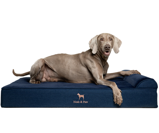 Denim, Orthopedic Pet Bed, Classic Style - Dark Blue - XL