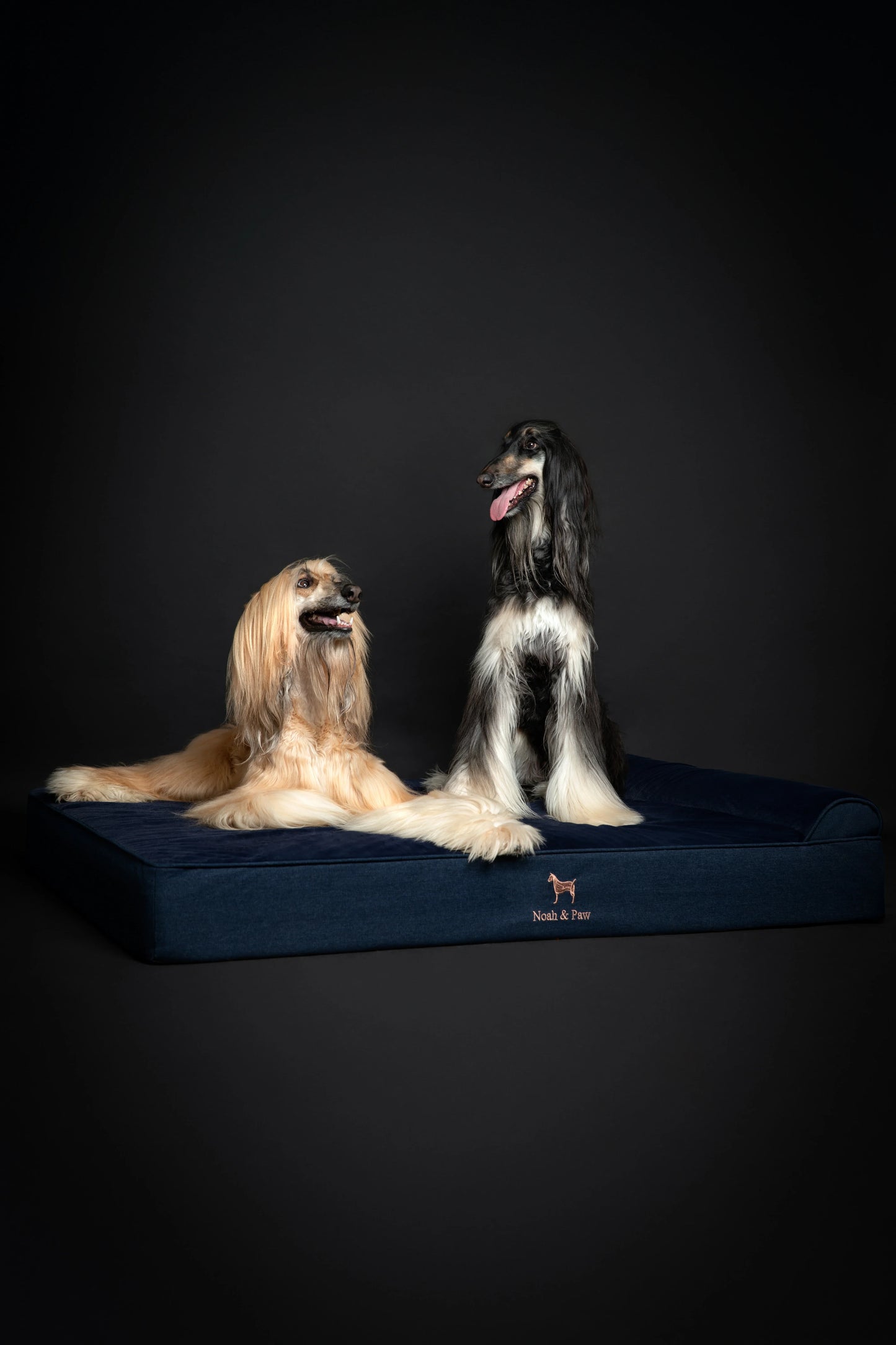 Denim Orthopedic Pet Bed, Memory Foam, Infused with Cooling Gel - Classic