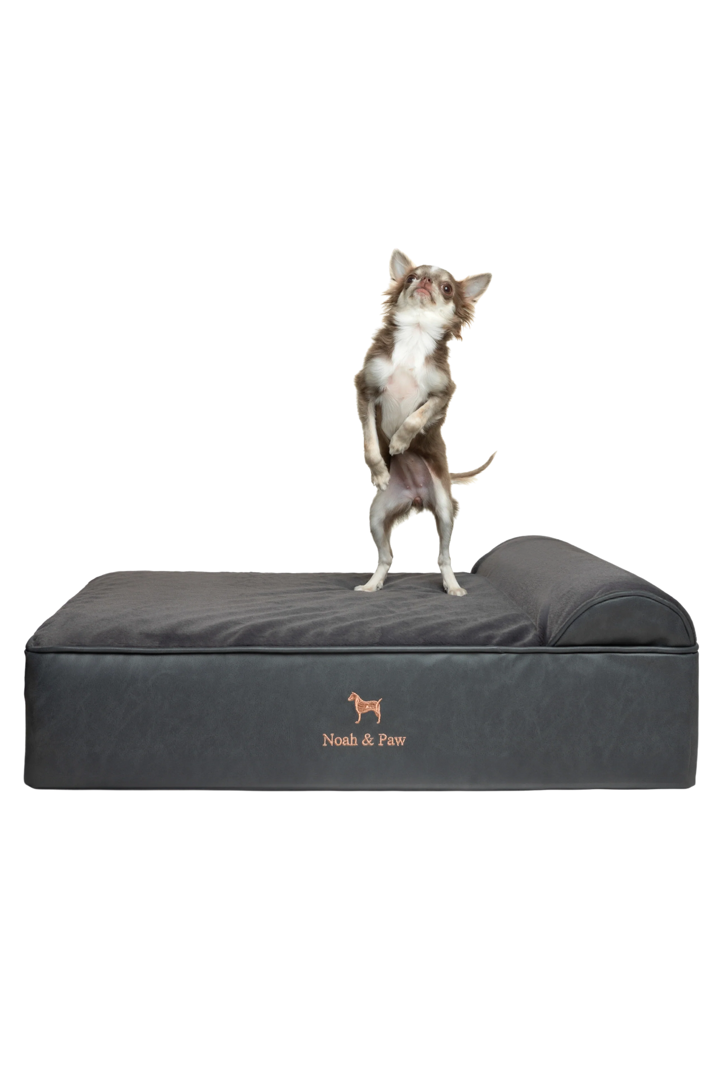Orthopedic Faux Leather Pet Bed Classic Style - Black - M