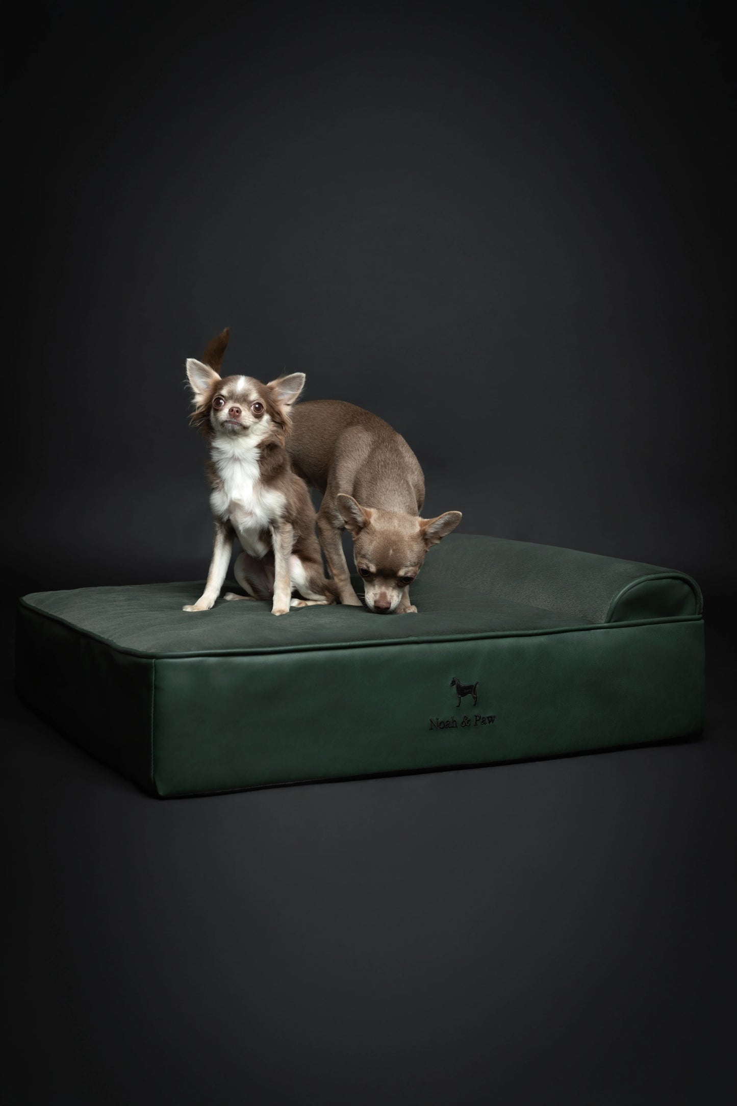 Faux Leather, Orthopedic Pet Bed, Eggshell Memory Foam, Infused with Cooling Gel, Classic Style