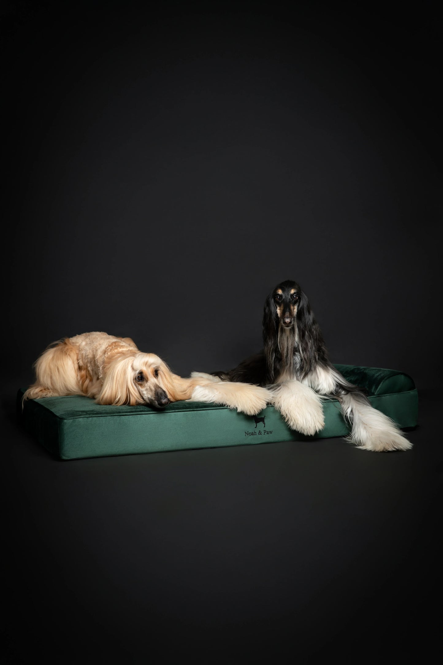 Velvet Orthopedic Pet Bed, Memory Foam, Infused with Cooling Gel - Classic