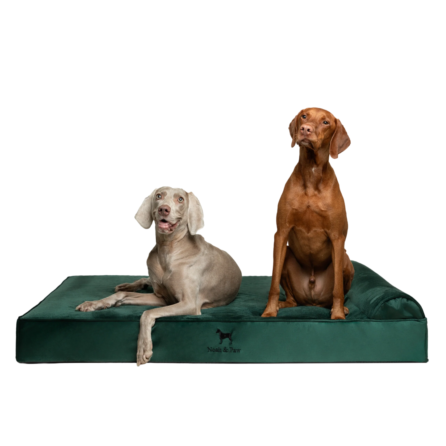 Velvet, Orthopedic Pet Bed, Classic Style - Dark Green - XXL