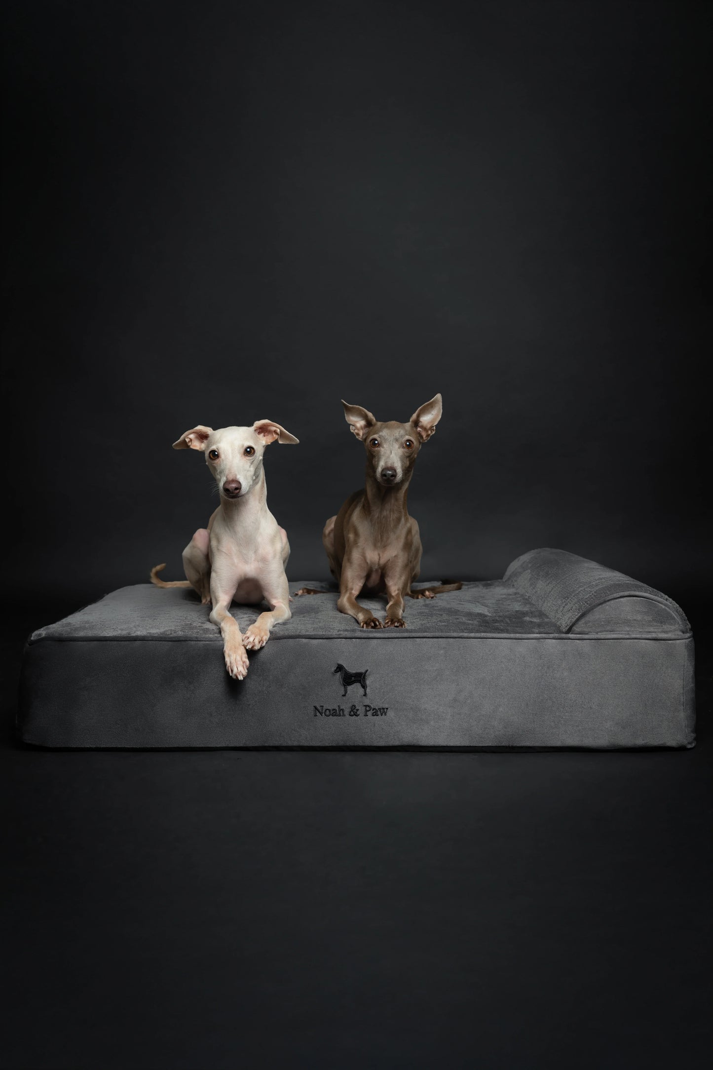 Velvet Orthopedic Pet Bed, Memory Foam, Infused with Cooling Gel - Classic