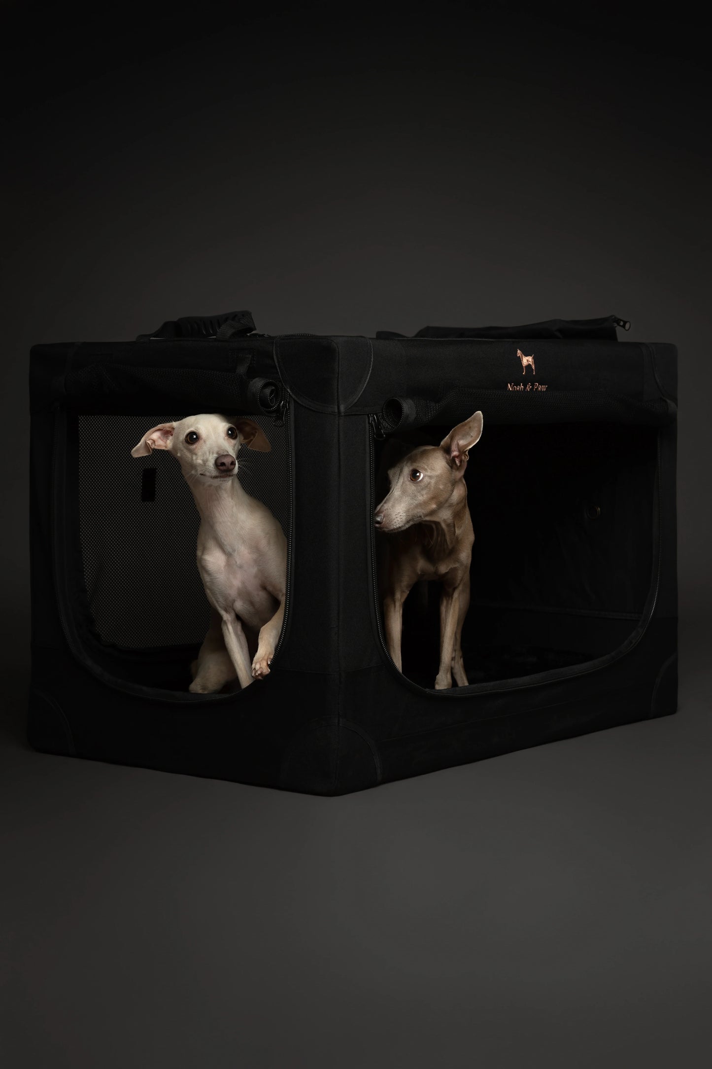 Collapsible Dog Crate Including Pet Mat Ideal for Traveling (Patented Folding)
