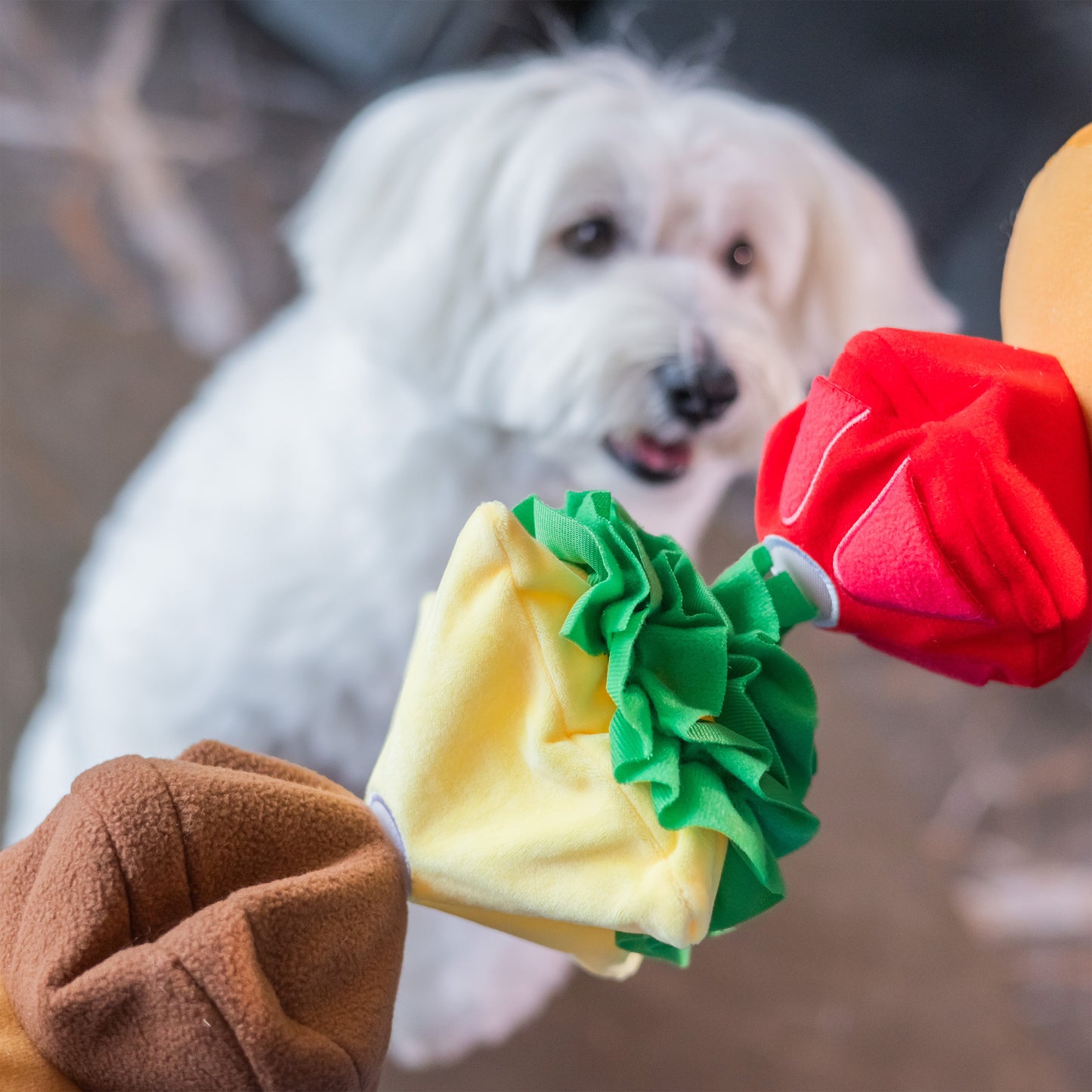 Woof² Cheeseburger Nose-work Pet Toy