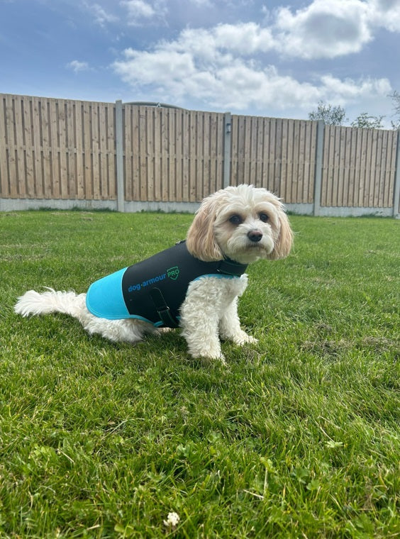 Anti-Bite Protection Vest for Dogs - Blue