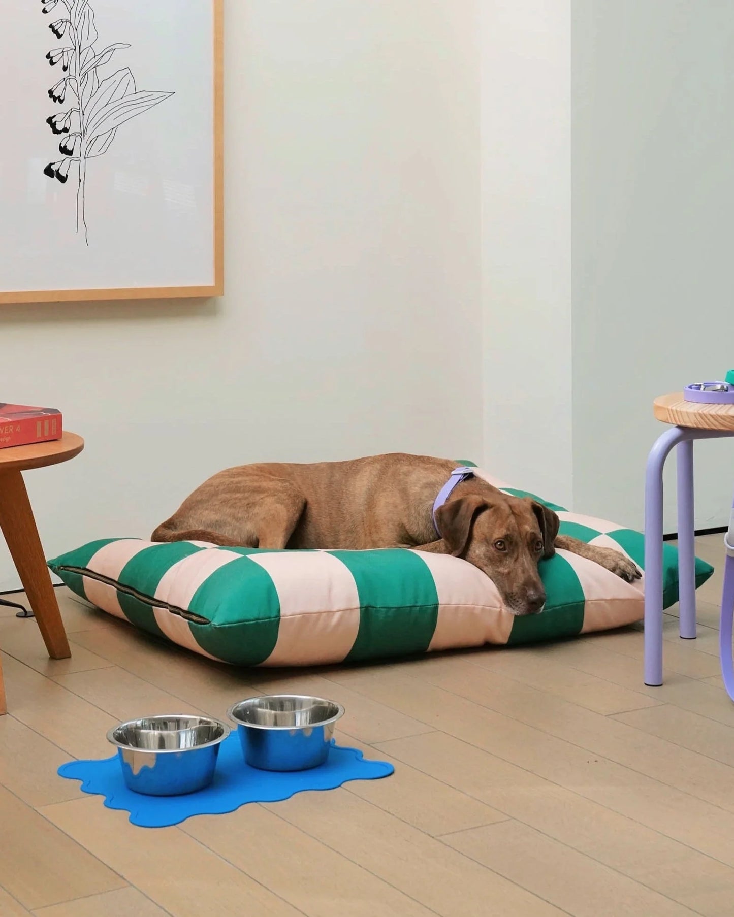 The Fritz Bed