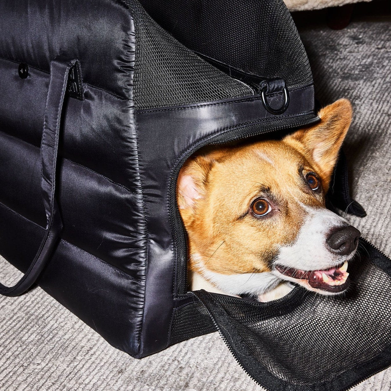 Destination Tote - Ltd