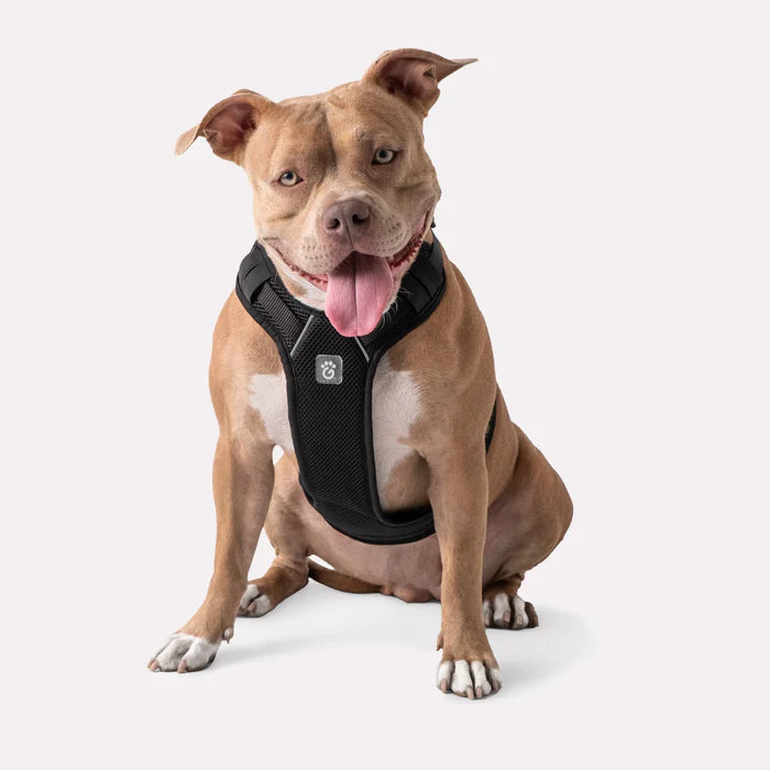 Dog Travel Harness