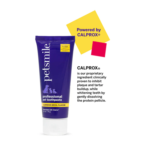 Professional Pet Toothpaste - London Broil Flavor - Small
