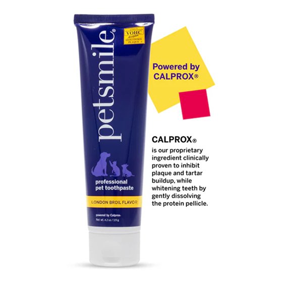 Professional Pet Toothpaste - London Broil Flavor - Large