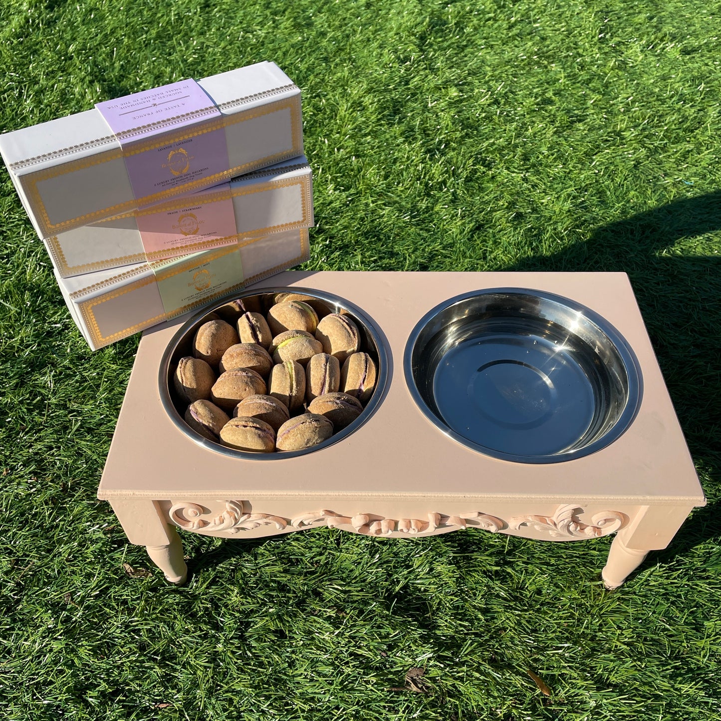 Bundle of 3-Boxes Dog Macarons + Elevated Pet Feeder
