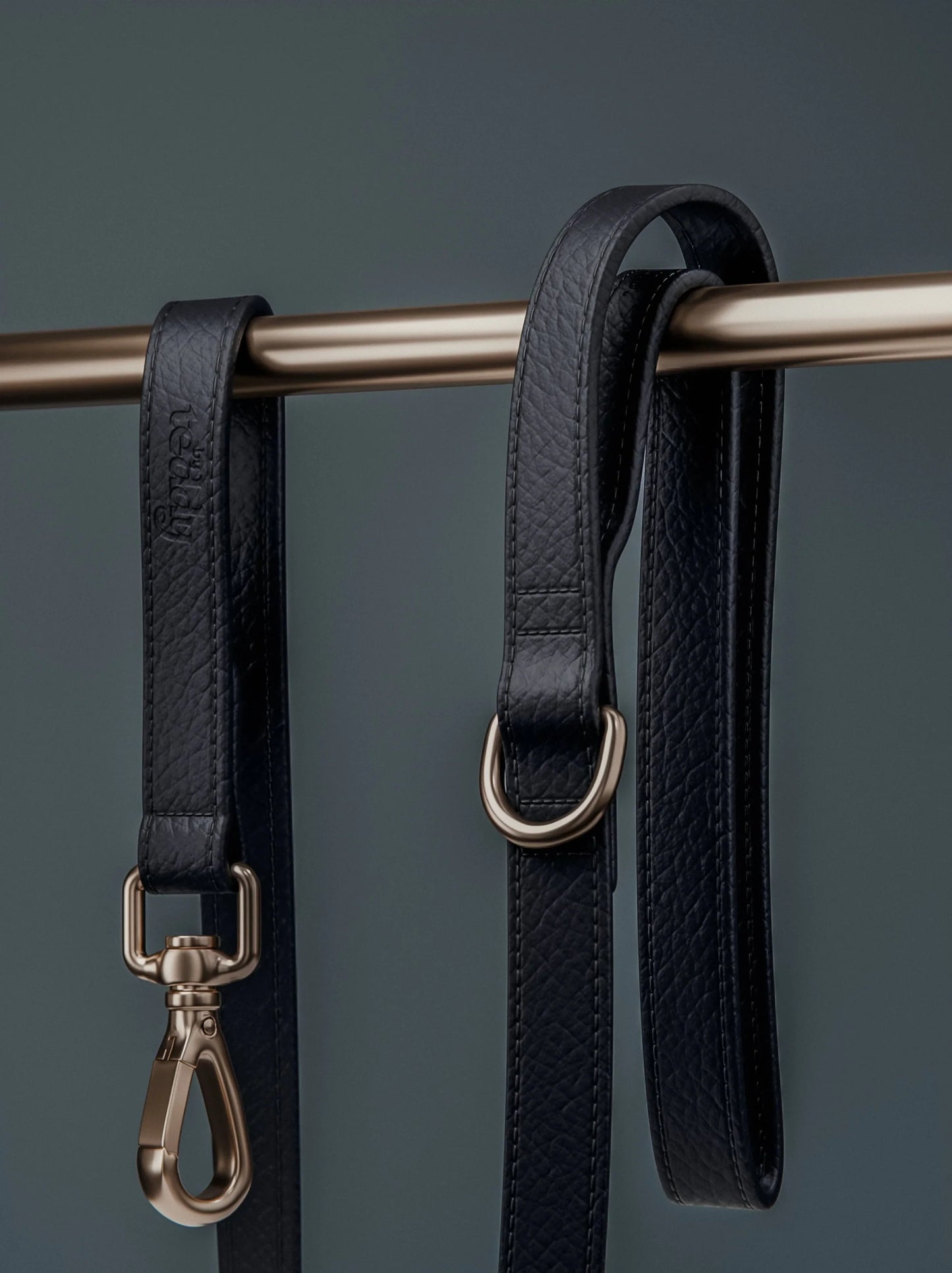 Midnight┃Studio Lead