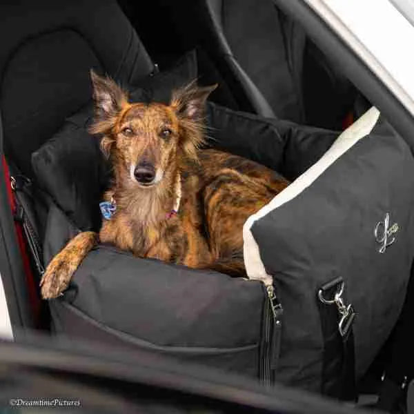 Sportive Dog Car Seat | Black