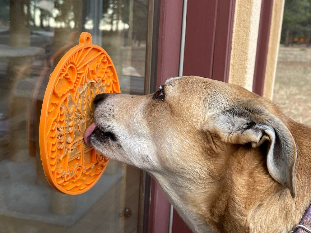 Camp eMat Enrichment Lick Mat